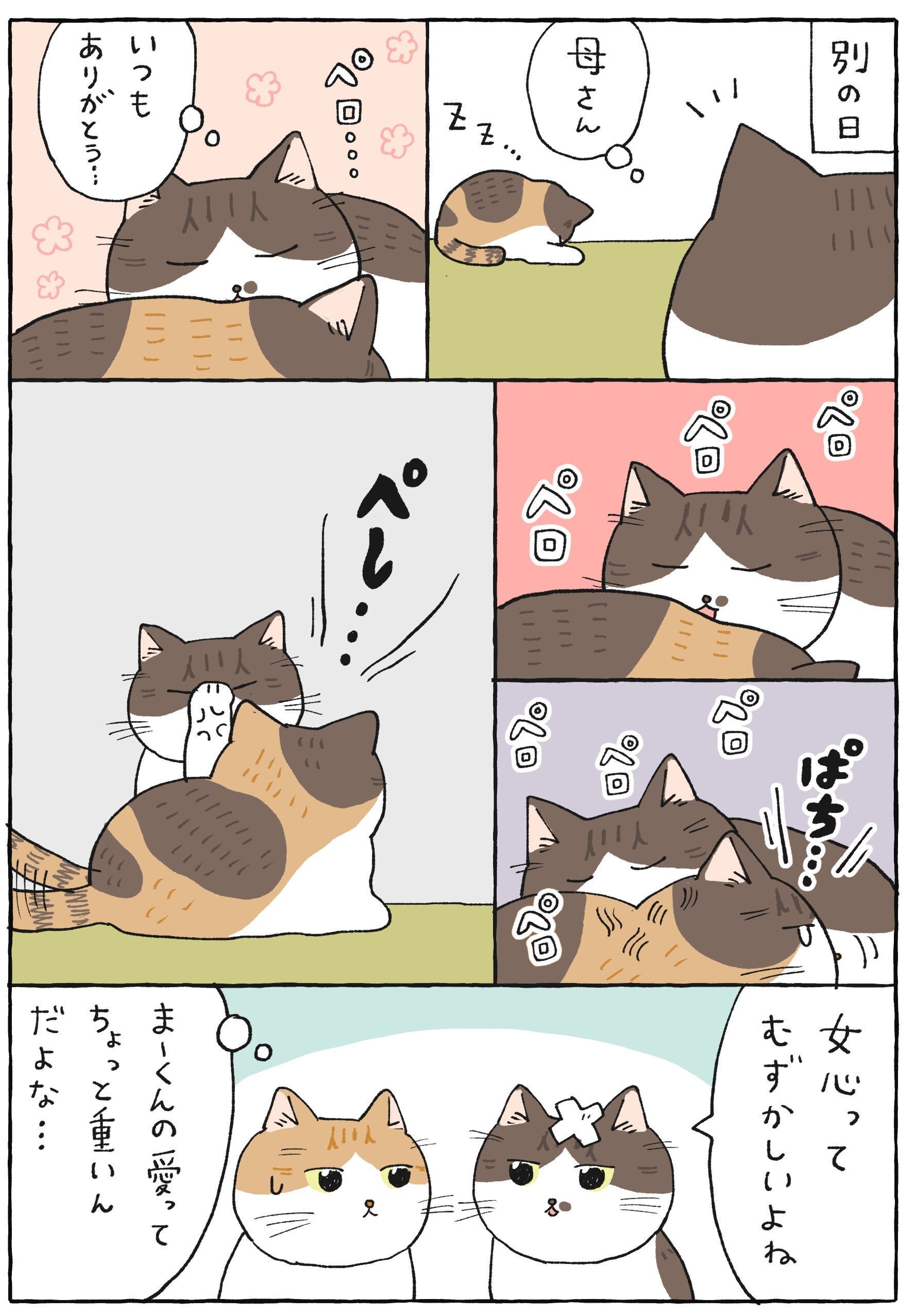 あ様専用ご確認ページ るあ様ご専用ページ りるあ様 専用 ご確認の通販 by