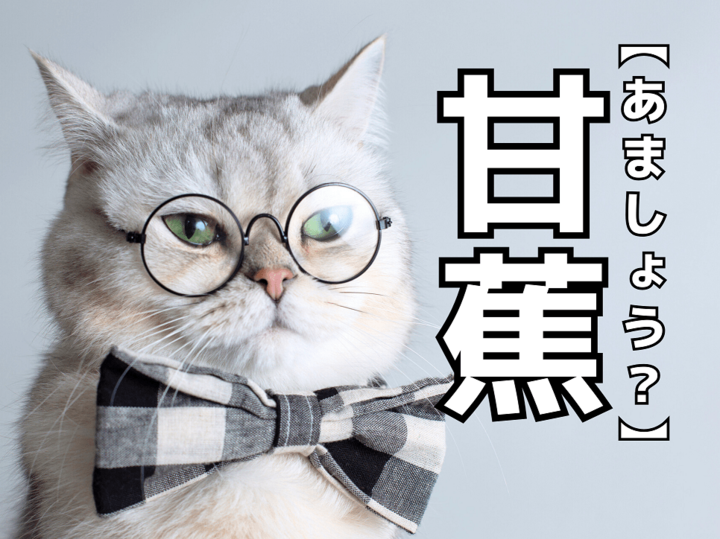 【甘蕉】を「あましょう」と読むと笑われます!【読めないと恥ずかしい漢字クイズ】