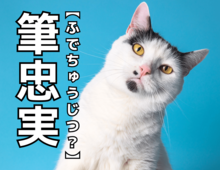 【筆忠実】を「ふでちゅうじつ」と読むと笑われます！【読めないと恥ずかしい漢字クイズ】