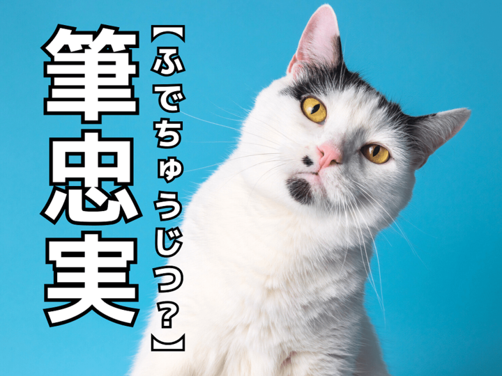 【筆忠実】を「ふでちゅうじつ」と読むと笑われます!【読めないと恥ずかしい漢字クイズ】