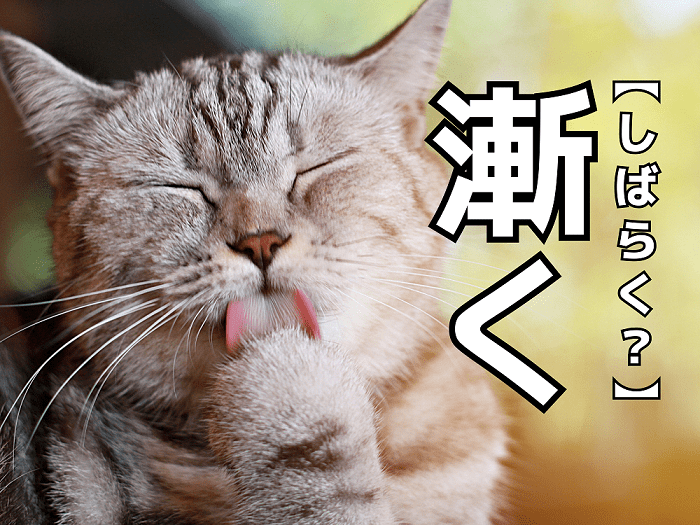 【漸く】を「しばらく」と読むと笑われます!【読めないと恥ずかしい漢字クイズ】