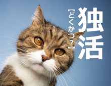 【独活】を「どくかつ」と読んだら笑われます！【読めないと恥ずかしい漢字クイズ】