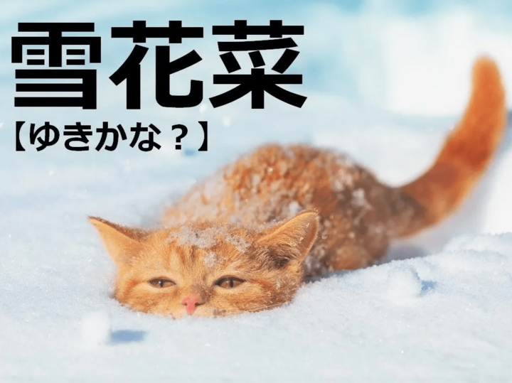 【雪花菜】を「ゆきかな」と読むと笑われます!【読めないと恥ずかしい漢字クイズ】
