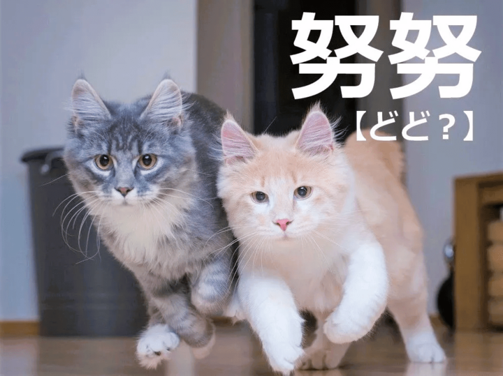 【努努】を「どど」と読むと笑われますヨ!【読めないと恥ずかしい漢字クイズ】