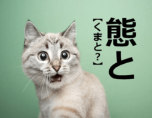 【態と】を「くまと」と読むと2回笑われます！【読めないと恥ずかしい漢字クイズ】