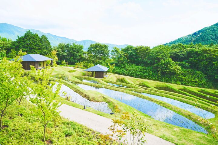 〈大分・由布院〉温泉旅!美しい棚田に心洗われ、わら綯いにハマる!ハマりまくる!!