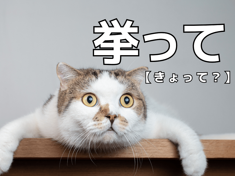 【挙って】を「きょって」と読んだら笑われます！【読めないと恥ずかしい漢字クイズ】