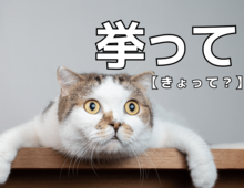 【挙って】を「きょって」と読んだら笑われます！【読めないと恥ずかしい漢字クイズ】