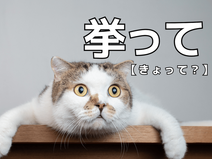 【挙って】を「きょって」と読んだら笑われます!【読めないと恥ずかしい漢字クイズ】