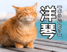 【洋琴】って何か知ってる？「ようごと」とは読みませんよ！【知らないと恥ずかしい漢字クイズ】