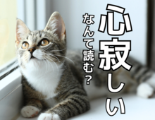 【心寂しい】なんて読む？「こころさびしい」ではないですよ！【読めないと恥ずかしい漢字クイズ】