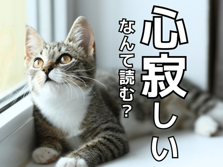 【心寂しい】なんて読む?「こころさびしい」ではないですよ!【読めないと恥ずかしい漢字クイズ】