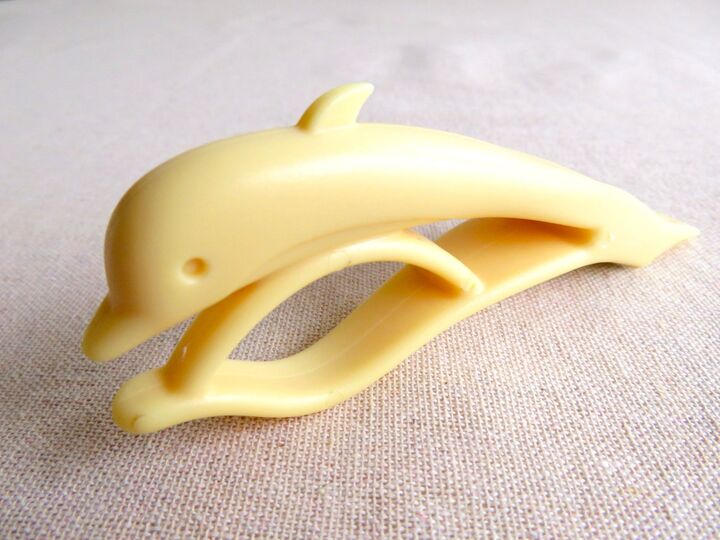 【キャン★ドゥ】かわいい♡だけじゃないんです!秋から冬に大活躍するイルカの正体とは!?