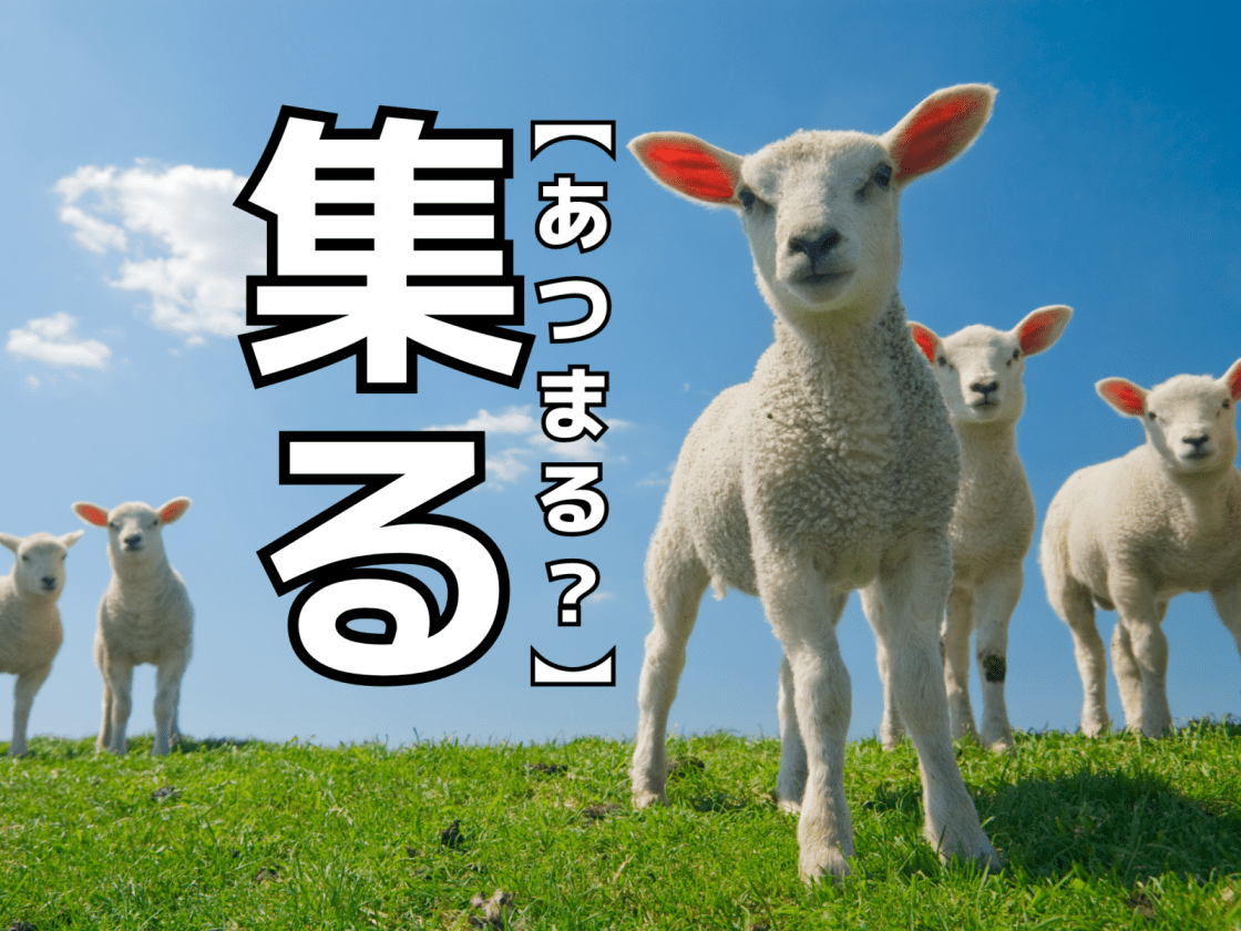 【集る】を「あつまる」と読むと笑われます!【読めないと恥ずかしい漢字クイズ】 2ページ目|暮らしニスタ