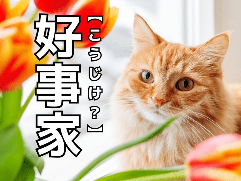 【好事家】を「こうじけ」と読んだら笑われます！【読めないと恥ずかしい漢字クイズ】