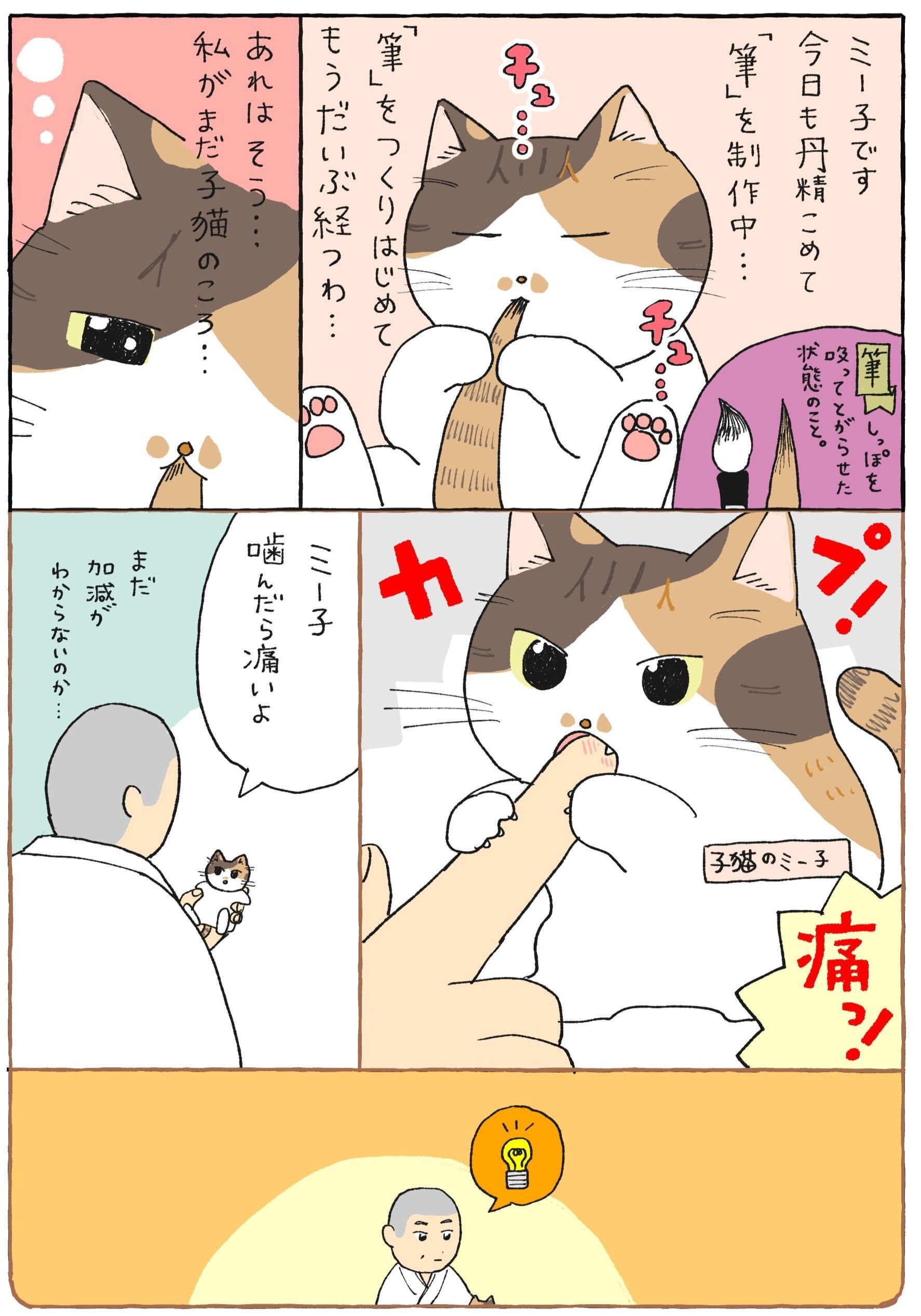 わたしが子ねこだった頃の話。【てらねこミー子の日常】｜暮らしニスタ