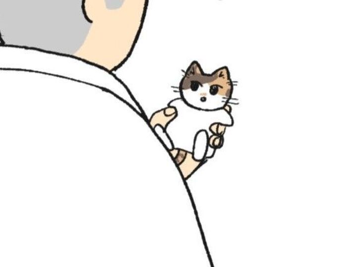 わたしが子ねこだった頃の話。【てらねこミー子の日常】