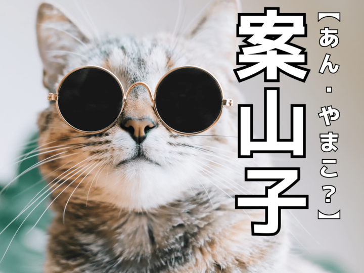 【案山子】を「あん・やまこ」と読むと笑われます!【読めないと恥ずかしい漢字クイズ】