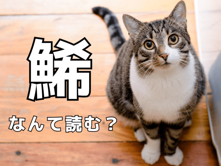 【鯑】なんて読む?魚の名前…ではありませんよ!【読めたらスゴイ!難読漢字クイズ】