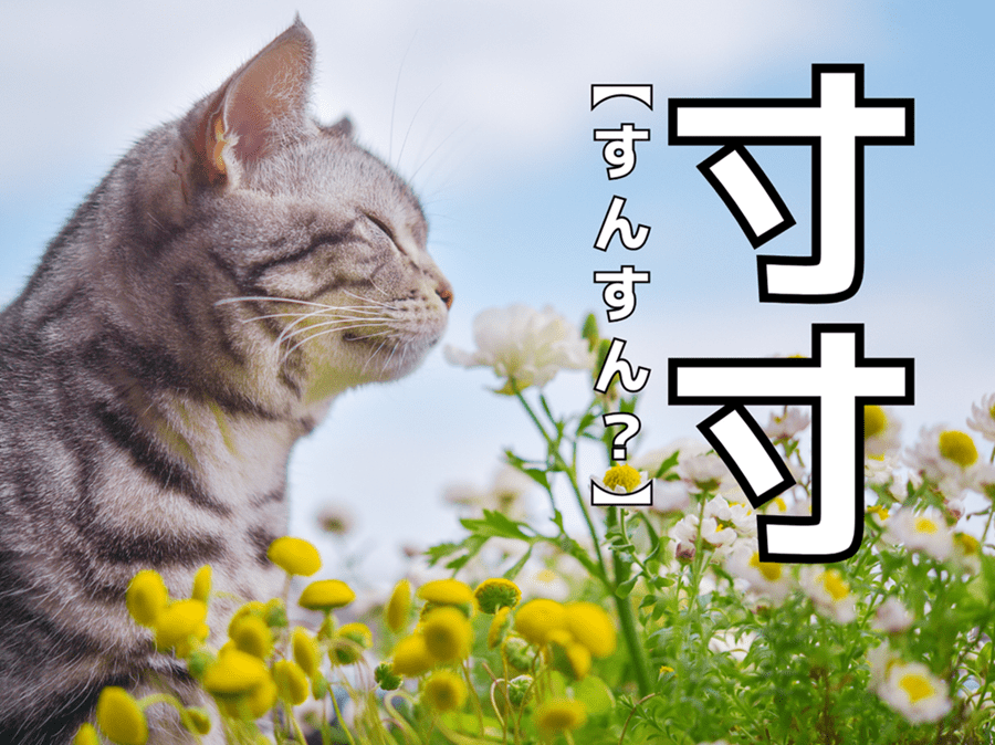 【寸寸】を「すんすん」と読むと笑われます！【読めないと恥ずかしい漢字クイズ】