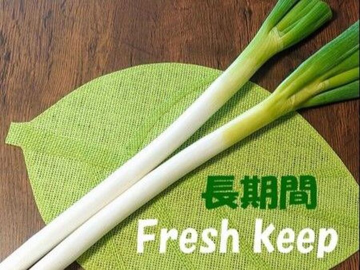長ネギを買った後にすぐやること!新鮮さがめちゃ長持ちしますよ♪