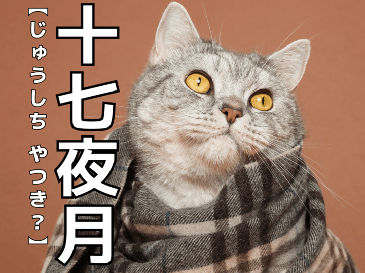 【十七夜月】の読み方わかる?ひらがな三文字で「なんてロマンチック♡」〈読めたらスゴイ!難読漢字クイズ〉