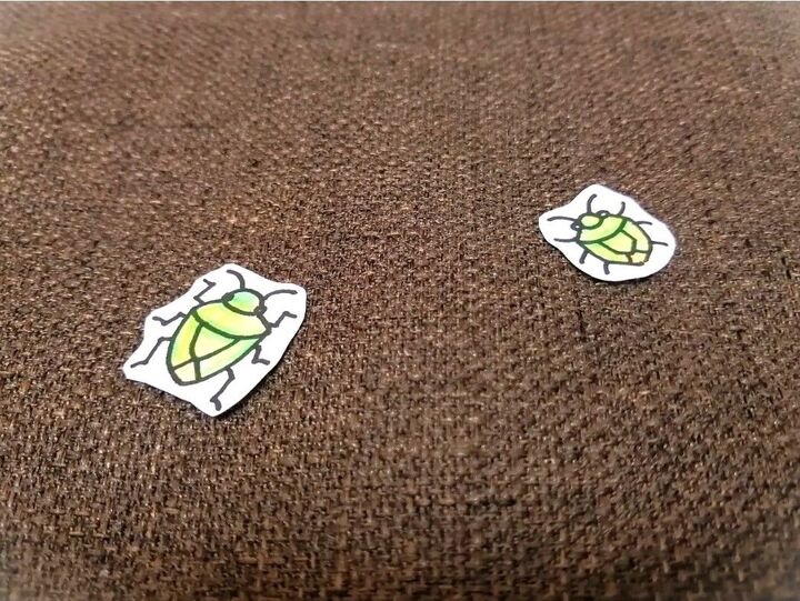 【カメムシ】が大量発生しやすい季節到来…!家にあるモノでカンタンに対策できますよ♪