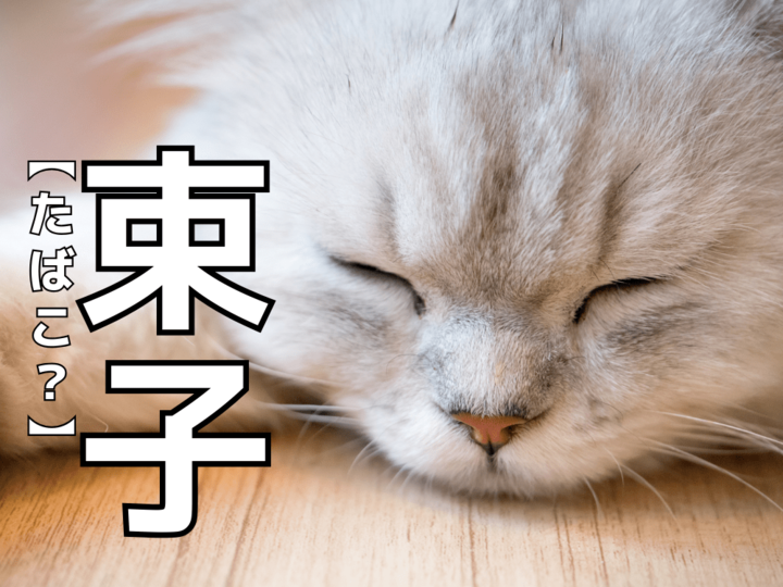 【束子】を「たばこ」と読んだら笑われます!【読めないと恥ずかしい漢字クイズ】