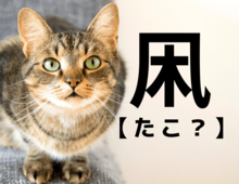 【凩】を「タコ」と読むと笑われます！【読めないと恥ずかしい漢字クイズ】