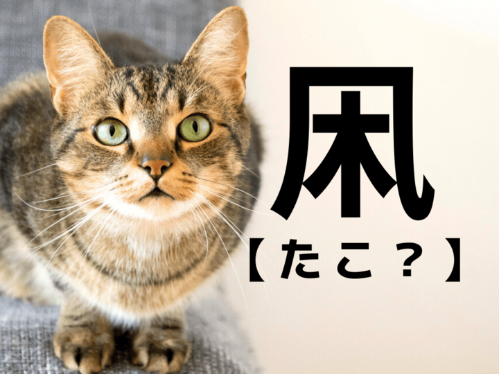 【凩】を「タコ」と読むと笑われます!【読めないと恥ずかしい漢字クイズ】