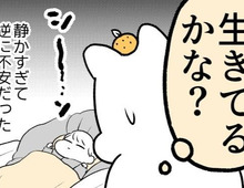 い…生きてる！？スヤスヤ寝ている赤ちゃんの呼吸確認を繰り返した結果…【ポンコツぽんかん育児録#15】