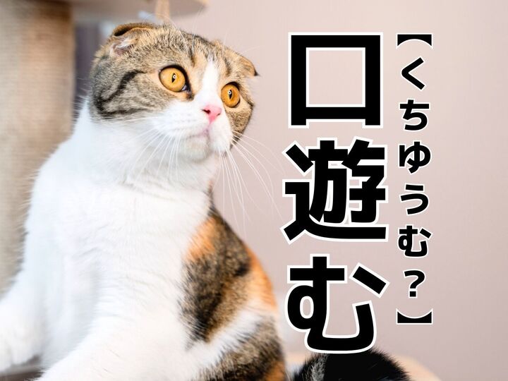 【口遊む】なんて読む?「くちゆうむ」ではありませんよ!【読めないと恥ずかしい漢字クイズ】
