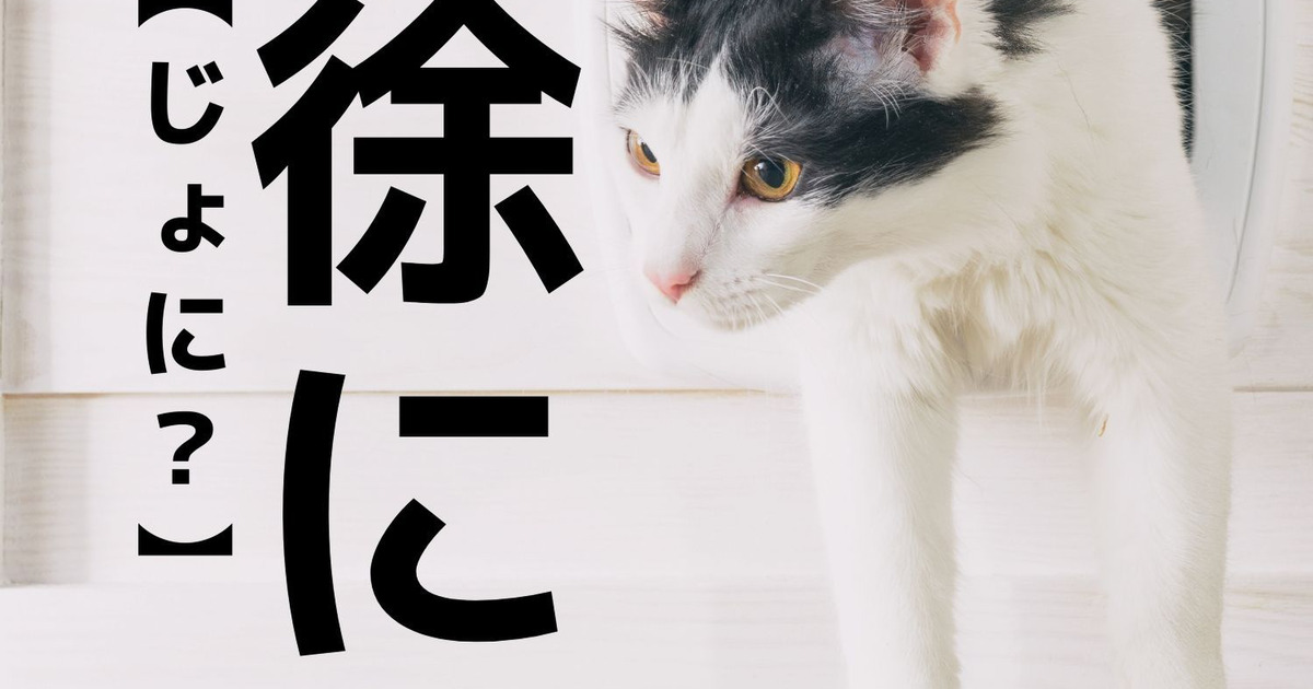 【徐に】を「じょに…?」と読むと笑われます!【読めないと恥ずかしい漢字クイズ】 2ページ目|暮らしニスタ