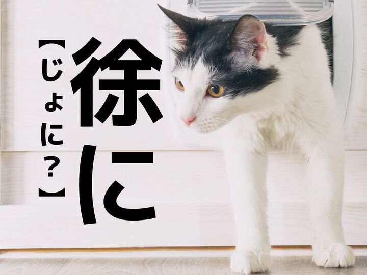 【徐に】を「じょに…?」と読むと笑われます!【読めないと恥ずかしい漢字クイズ】