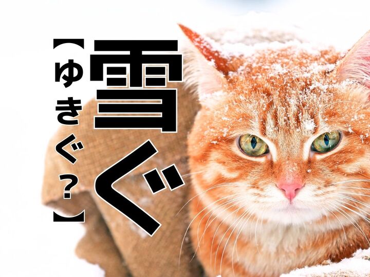 【雪ぐ】を「ゆきぐ」と読むと笑われます!【読めないと恥ずかしい漢字クイズ】