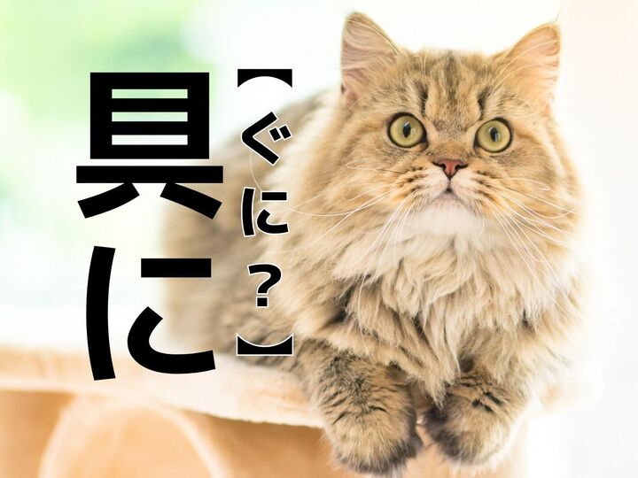 【具に】を「ぐに」と読んだら笑われます!【読めないと恥ずかしい漢字クイズ】