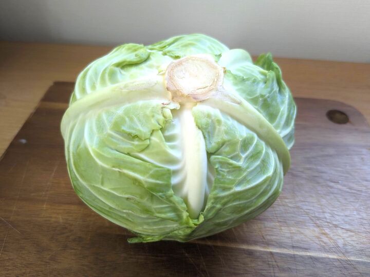 キャベツの芯、もう捨てません!人気中華料理に必須な、まさかの食材の代わりになるんです♡