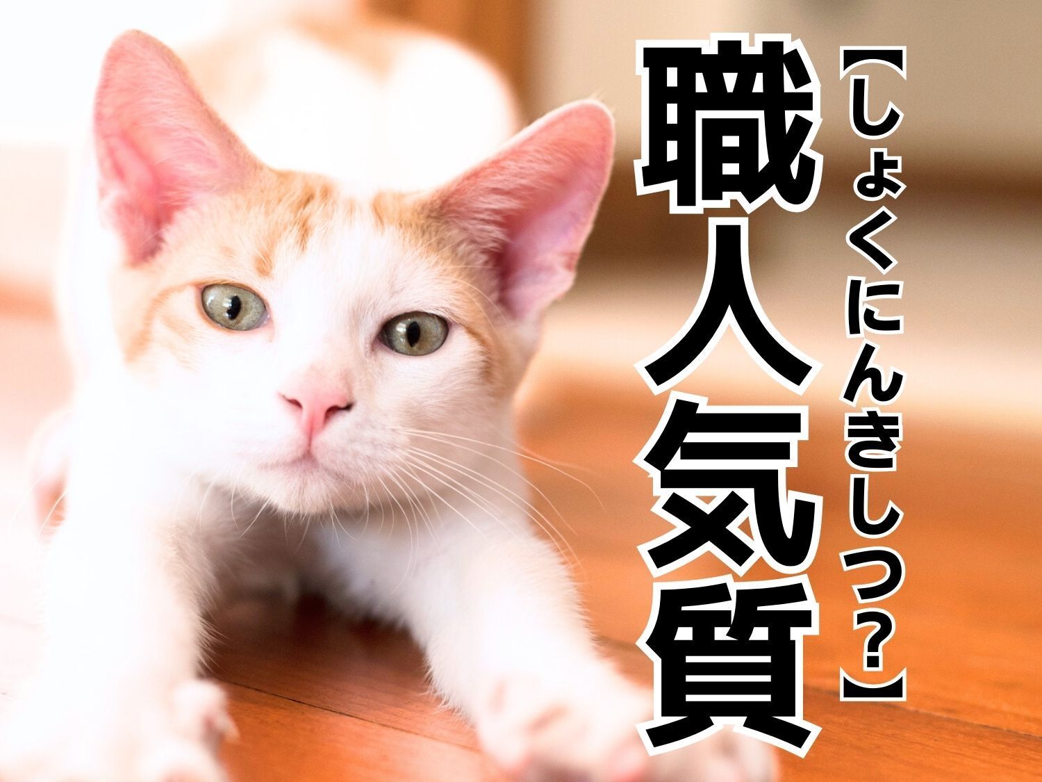 【職人気質】を「しょくにんきしつ」と読むと笑われます！【読めないと恥ずかしい漢字クイズ】