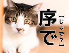 【序で】を「じょで」と読むと笑われます！【読めないと恥ずかしい漢字クイズ】