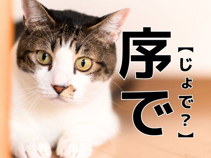 【序で】を「じょで」と読むと笑われます！【読めないと恥ずかしい漢字クイズ】