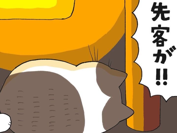 むにゅっ。もにゅっ。【てらねこミー子の日常】