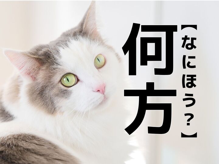 【何方】を「なにほう?」と読むと笑われます!【読めないと恥ずかしい漢字クイズ】
