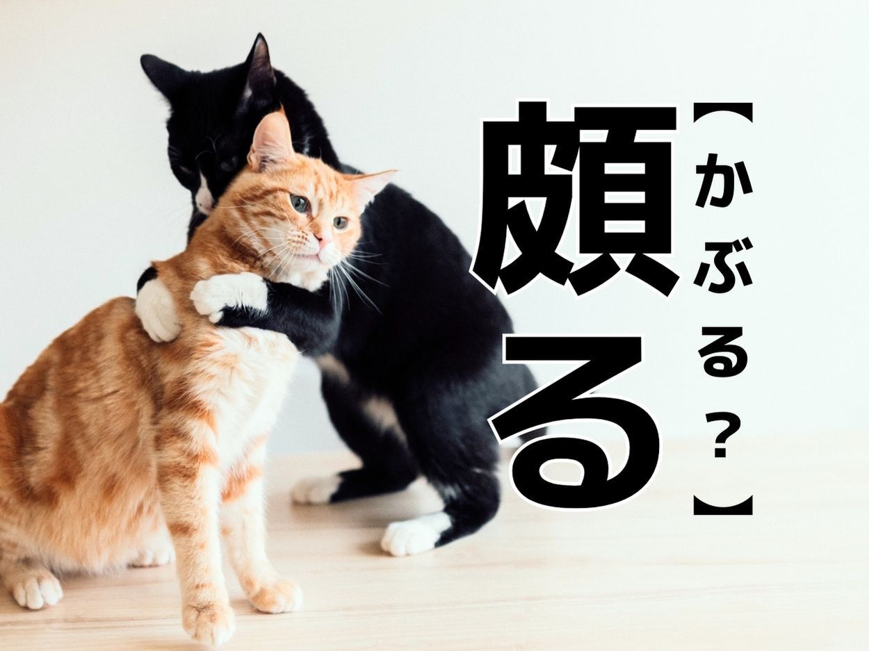 【頗る】を「かぶる？」と読んだら勘違い！「漢字あったんだ笑」「聞いたことあるかも…」｜難読漢字クイズ