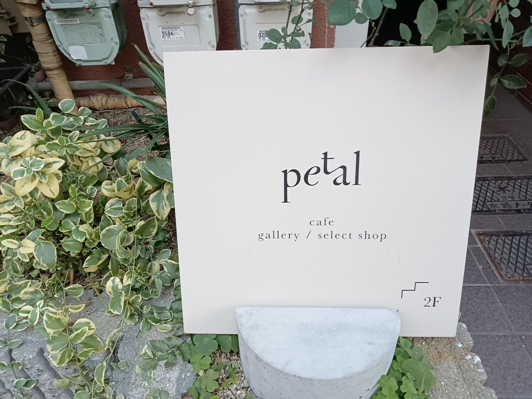 今日のespresso break【Petal（ペタル）】