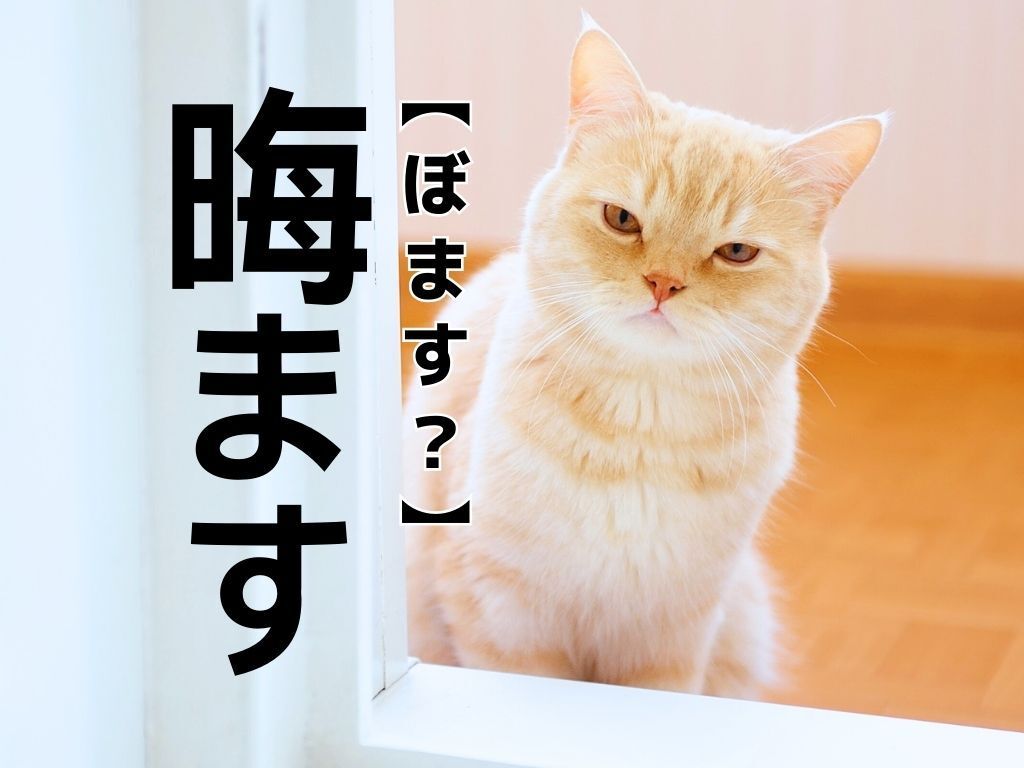 【晦ます】を「ぼます」と読むと笑われます！【読めそうで読めない漢字クイズ】