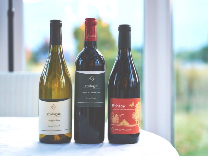 初心者でもワイン沼にハマると評判のツアーに参加。八ヶ岳の葡萄畑でワインをいただく♡