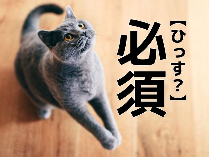【必須】を「ひっす」と読むと笑われる!?【読めないと恥ずかしい漢字クイズ】
