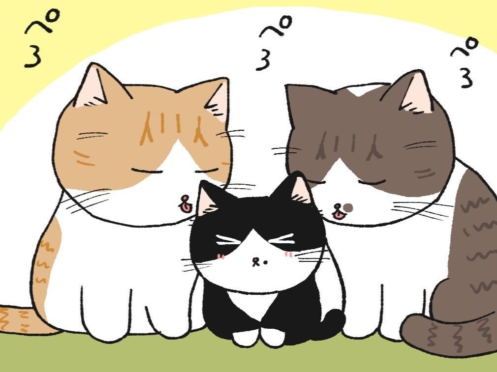 センパイになったねこと、新入りねこ【漫画てらねこミー子の日常】