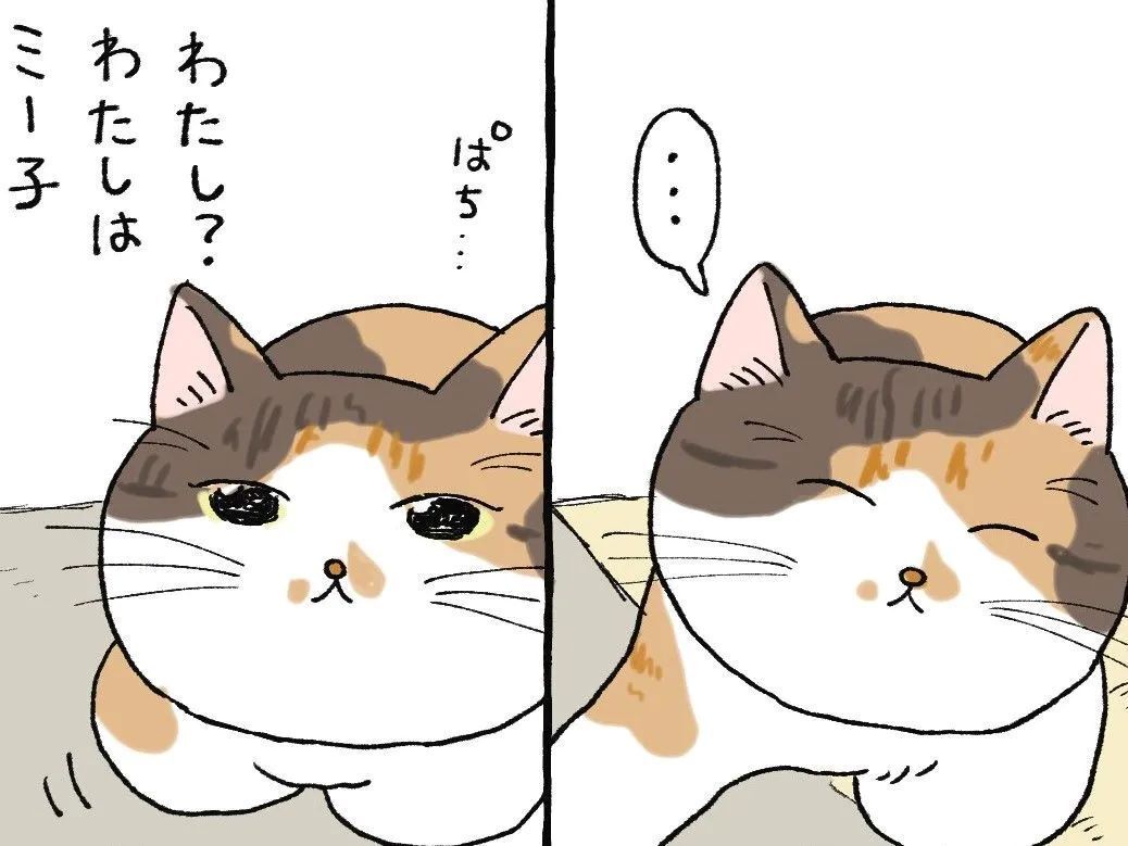 ナー。スリ～。コテン。【てらねこミー子の日常】