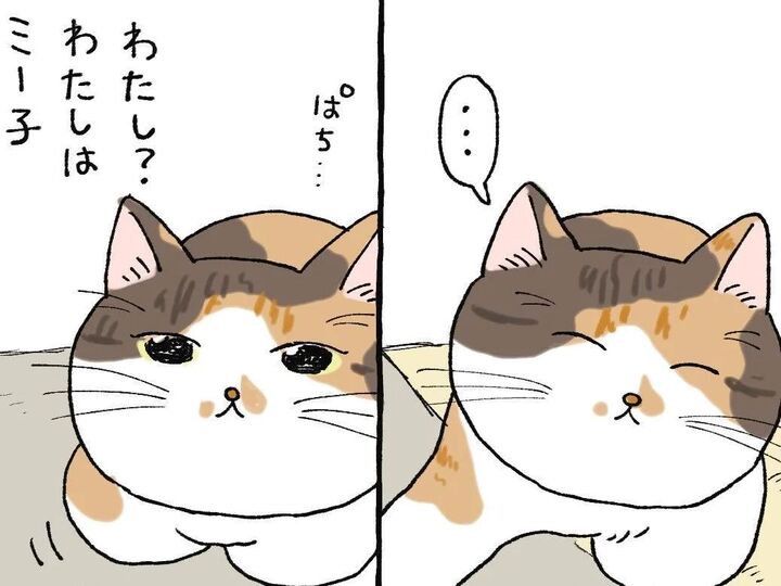 ナー。スリ~。コテン。【てらねこミー子の日常】